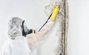 Trusted Waterville, WA Mold Prevention & Removal  Experts